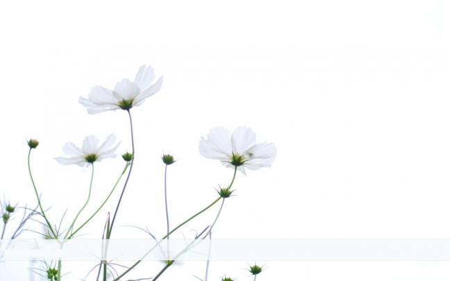 Simple Desktop Wallpapers