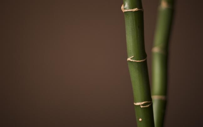 Simple Wallpaper for Desktop