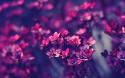 Purple Desktop Wallpaper