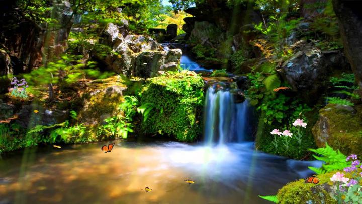 Just Paradise Animated Wallpaper http:\/\/www.desktopanimated.com - YouTube