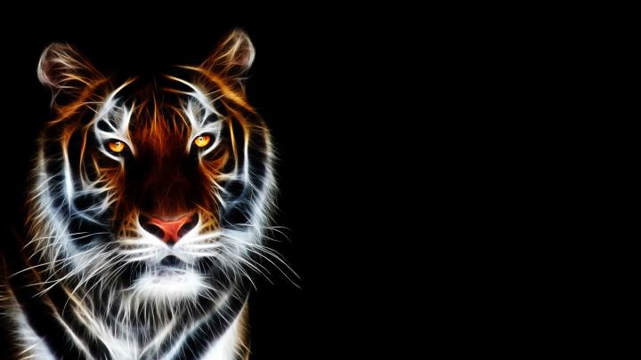 3D Animation Wallpaper \u00b7\u2460 