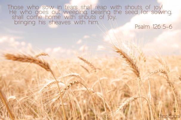 Bible Verse Desktop Wallpaper