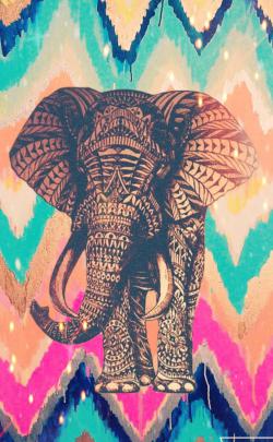 Boho Elephants Wallpapers