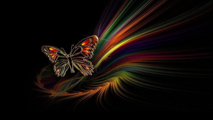 Butterfly Desktop Wallpapers