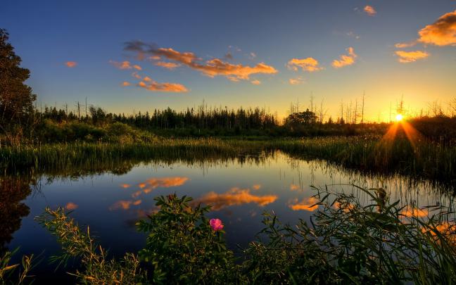 Peaceful Desktop Wallpaper \u00b7\u2460 