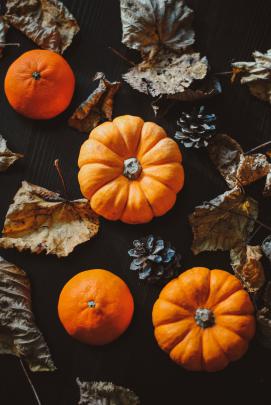 Cozy Autumn HD Wallpapers