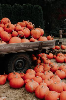 Cozy Autumn Wallpapers