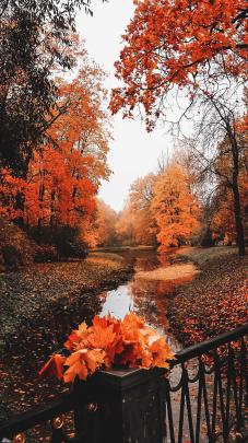Cozy HD Autumn Wallpapers
