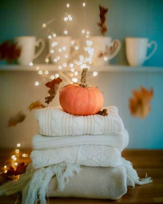 Pin by mandy L on Backgrounds: Fall \u0026 Halloween | Autumn theme, Autumn 
