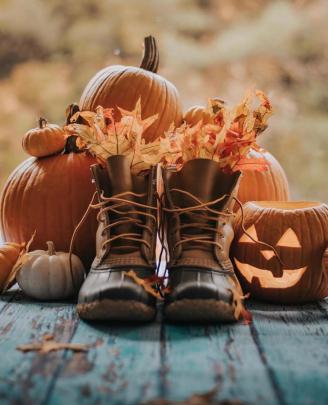 Pin by Shelly Nordenstrom on Hello October | Autumn aesthetic, Autumn 