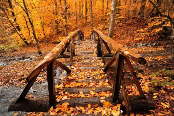 18+ Autumn Cozy Desktop Wallpaper - Basty Wallpaper