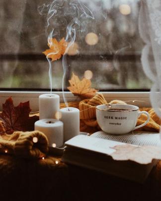 \ud83c\udf41StayCozy\ud83c\udf41 | Autumn aesthetic tumblr, Autumn aesthetic, Autumn cozy