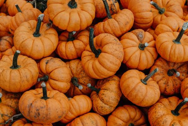 20 Beautiful and Cozy Fall Computer Backgrounds | Fall computer 