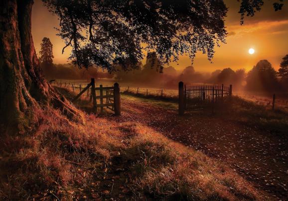 Cozy HD Autumn Wallpapers