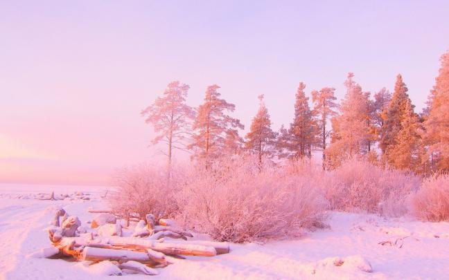 Aesthetic Pink Desktop Wallpapers - Top Free Aesthetic Pink Desktop 
