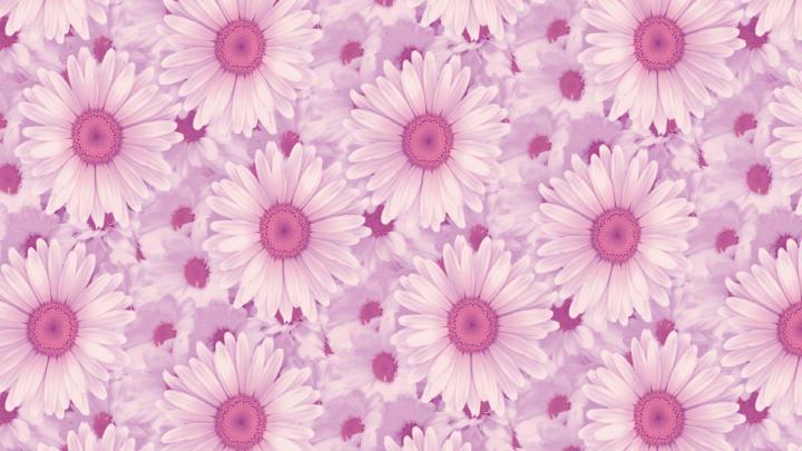 Aesthetic Pink Laptop Wallpapers
