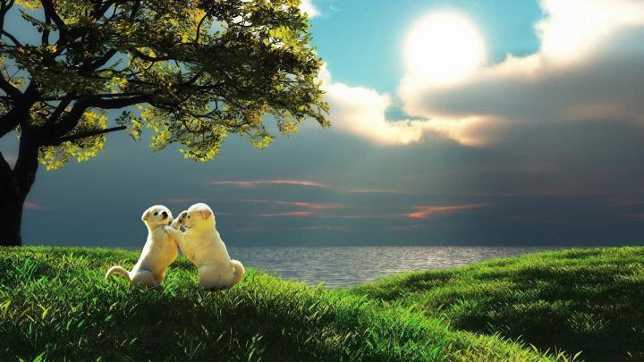 1080P HD Desktop Wallpapers - Top Free 1080P HD Desktop Backgrounds 