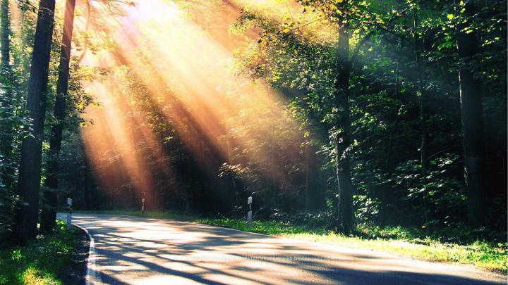 1080p Nature Wallpapers