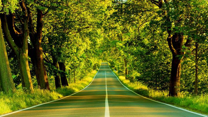 Wallpapers Nature Full Size Desktop 2016