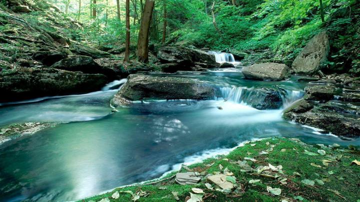 Wallpapers Nature Full Size Desktop 2016