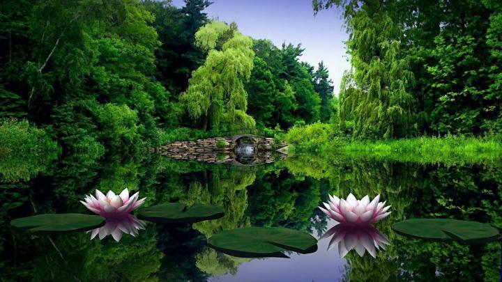 Wallpapers Nature Full Size Desktop 2016