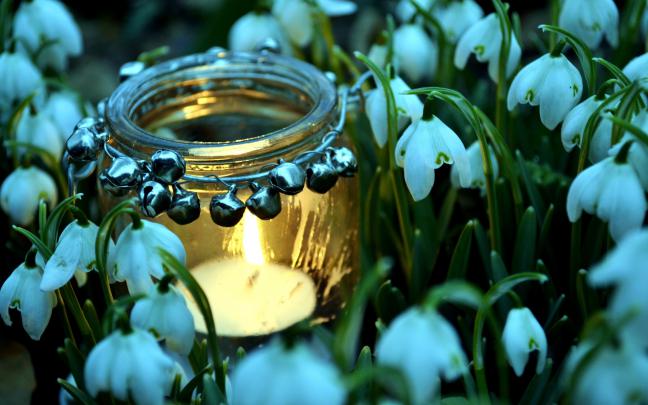 HD Pretty Backgrounds Tumblr