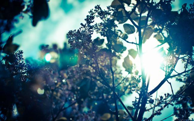 70+ Desktop backgrounds Tumblr \u00b7\u2460 Download free amazing wallpapers for 