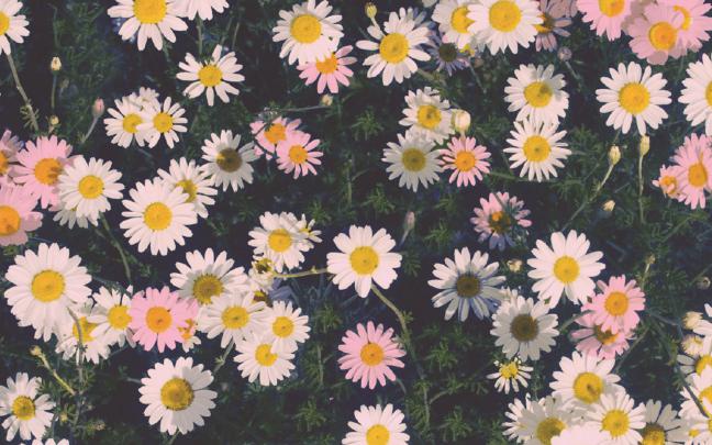 Download Laptop Wallpapers Tumblr Gallery