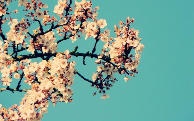 43+ Computer backgrounds Tumblr \u00b7\u2460 Download free HD wallpapers for 