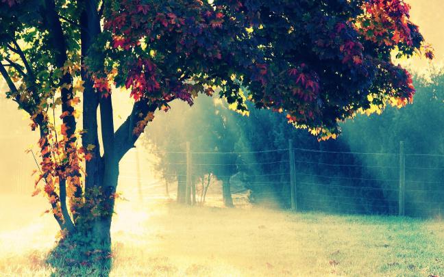 43+ Computer backgrounds Tumblr \u00b7\u2460 Download free HD wallpapers for 