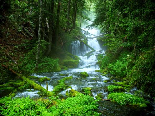 landscape, Nature, Tree, Forest, Woods, River, Waterfall Wallpapers HD 