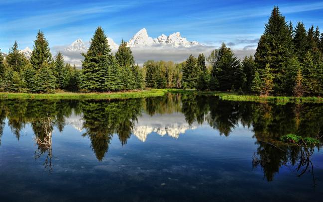 Forest wallpaper HD \u00b7\u2460 Download free awesome backgrounds for desktop 