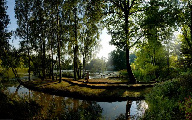 Forest Desktop Wallpaper HD