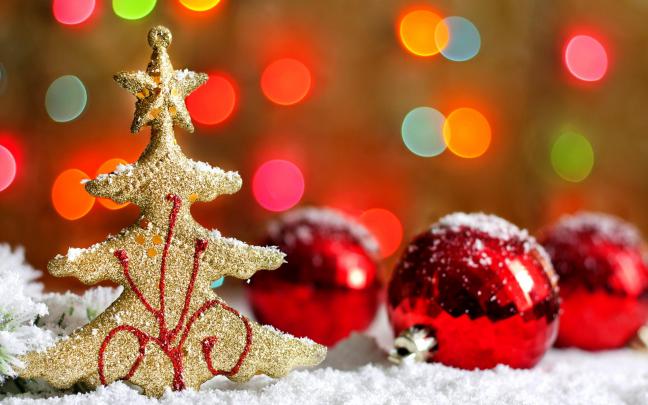 Download Holiday HD Wallpapers Free