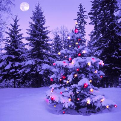 Christmas iPad Backgrounds Free