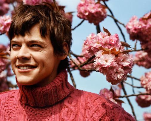 Harry Styles 2019 Wallpapers