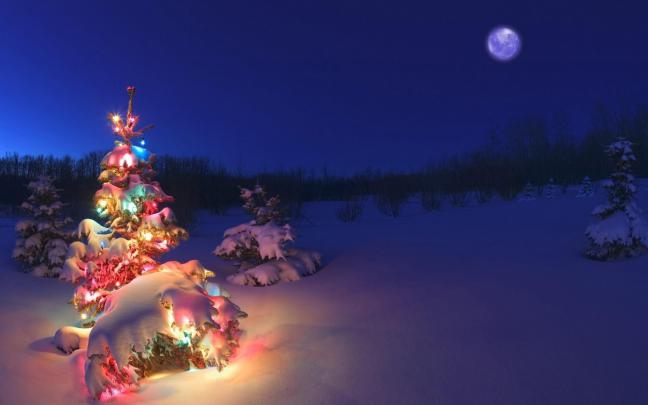 Winter Christmas Tree Wallpapers HD \/ Desktop and Mobile Backgrounds