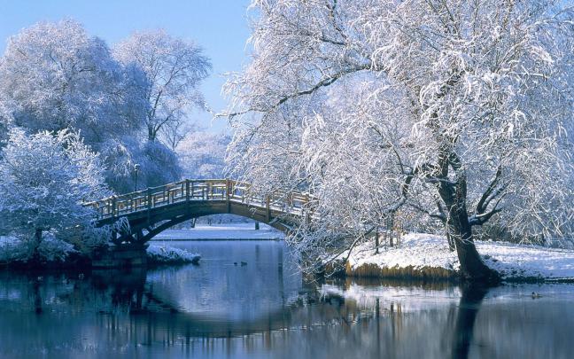 Christmas Scenes Wallpapers Free