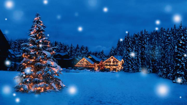 merry, Christmas, Holiday, Winter, Snow, Beautiful, Tree, Gift, Santa 