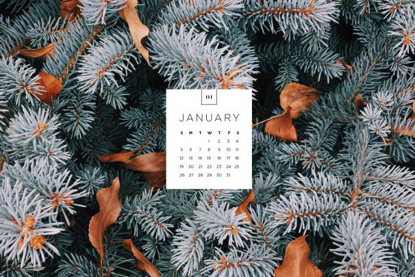 January Desktop and Mobile Wallpaper - sonrisastudio.com | Desktop 