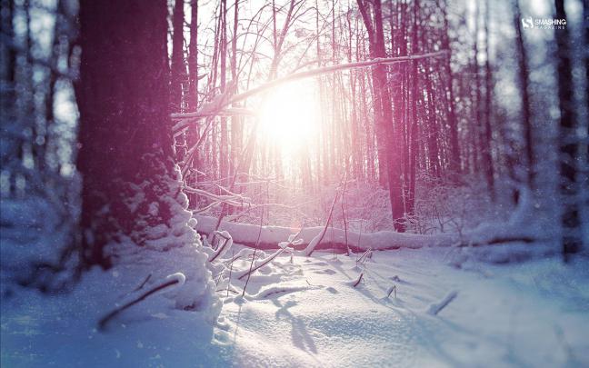 [49+] January Wallpaper 