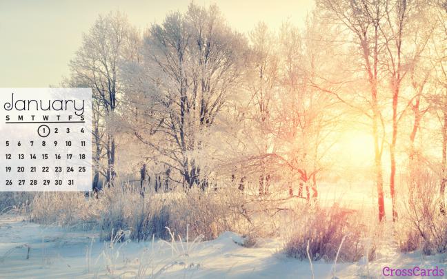 January 2020 - Snowy Day in 2020 (With images) | Winter wallpaper 