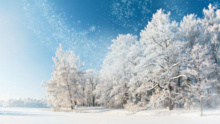Free download January Wallpaper [1920x1080] for your Desktop, Mobile 
