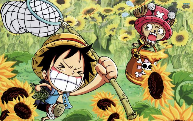 One Piece Background HD Desktop Wallpapers HD 4k High Definition Mac 