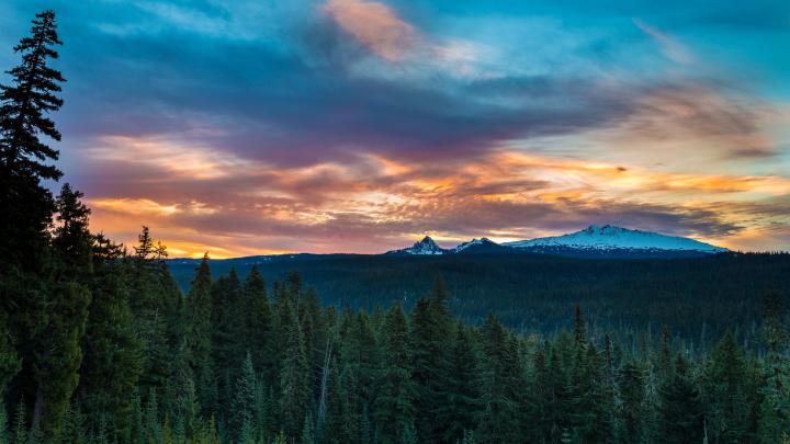 Oregon, Landscape, Trees Wallpapers HD \/ Desktop and Mobile Backgrounds