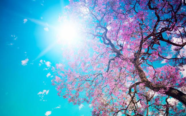 30 Wonderful Desktop Backgrounds \u2013 The WoW Style