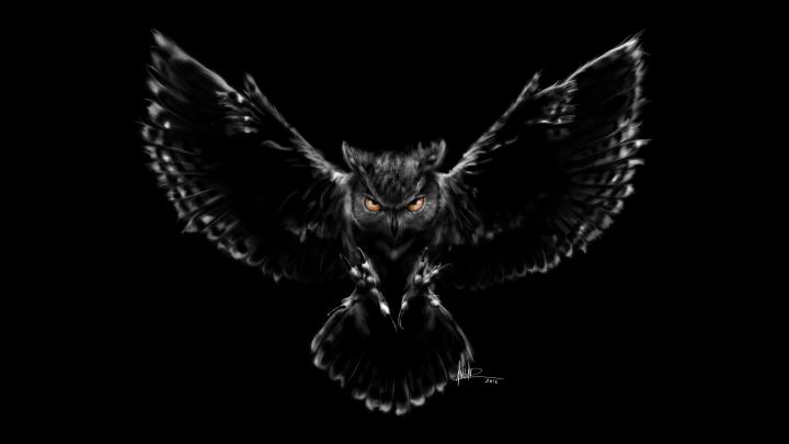 Scary Owl Wallpapers | HD Wallpapers