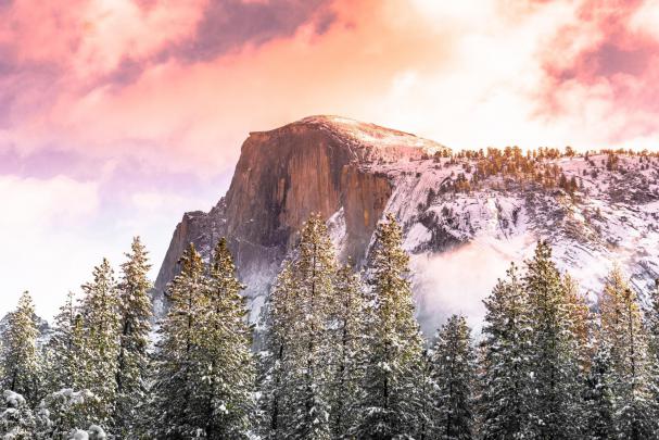 Desktop Apple Wallpapers