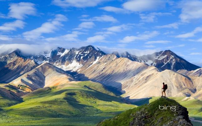 Bing Wallpapers HD