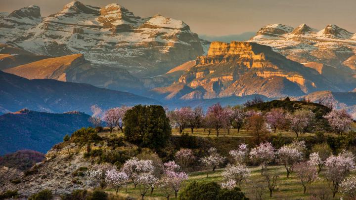 Spain Spring \u2013 Bing Wallpaper Download